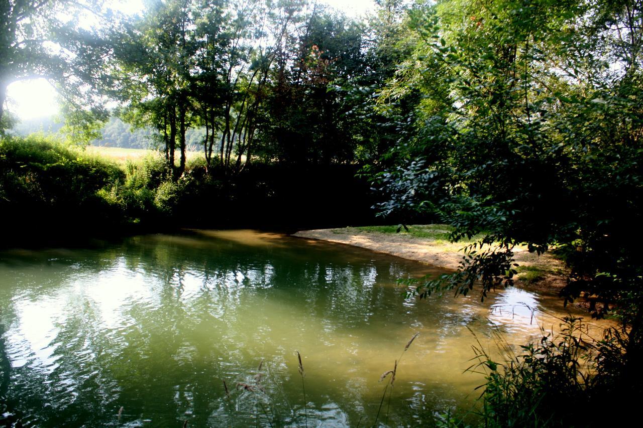 Brassac  Moulin De Jouenery Et Spa المظهر الخارجي الصورة